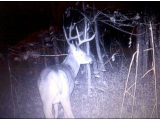 Property photo 26 - LAND AUCTION - 138+/- ACRES OFFERED IN 3 TRACTS IN SPENCER COUNTY, INDIANA
